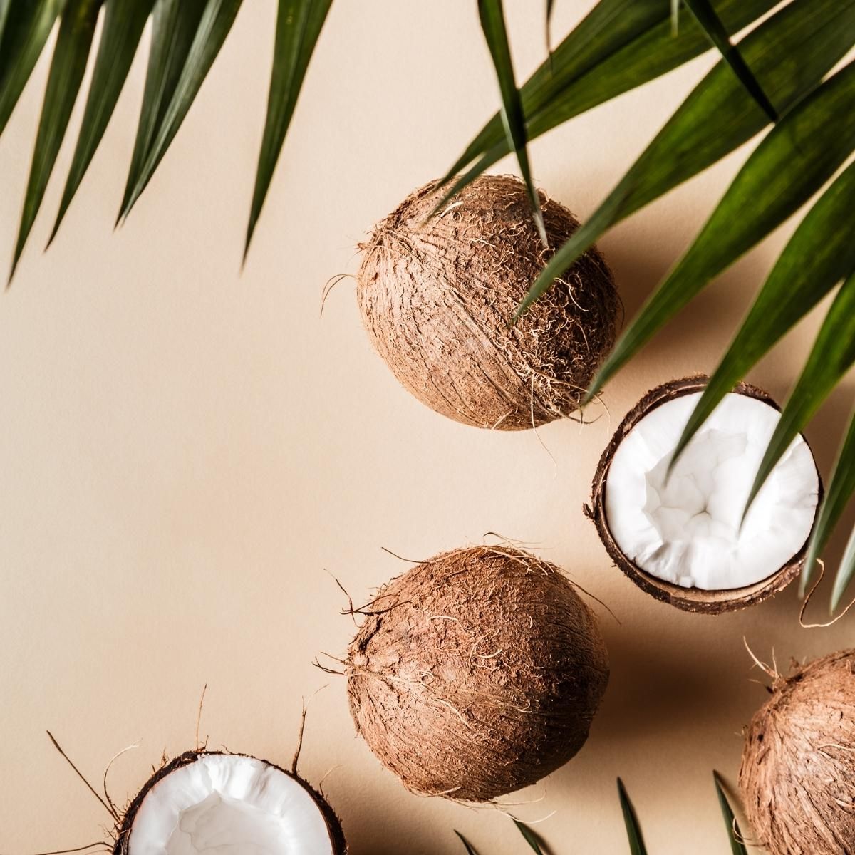 Fragrance bois flotté & noix de coco
