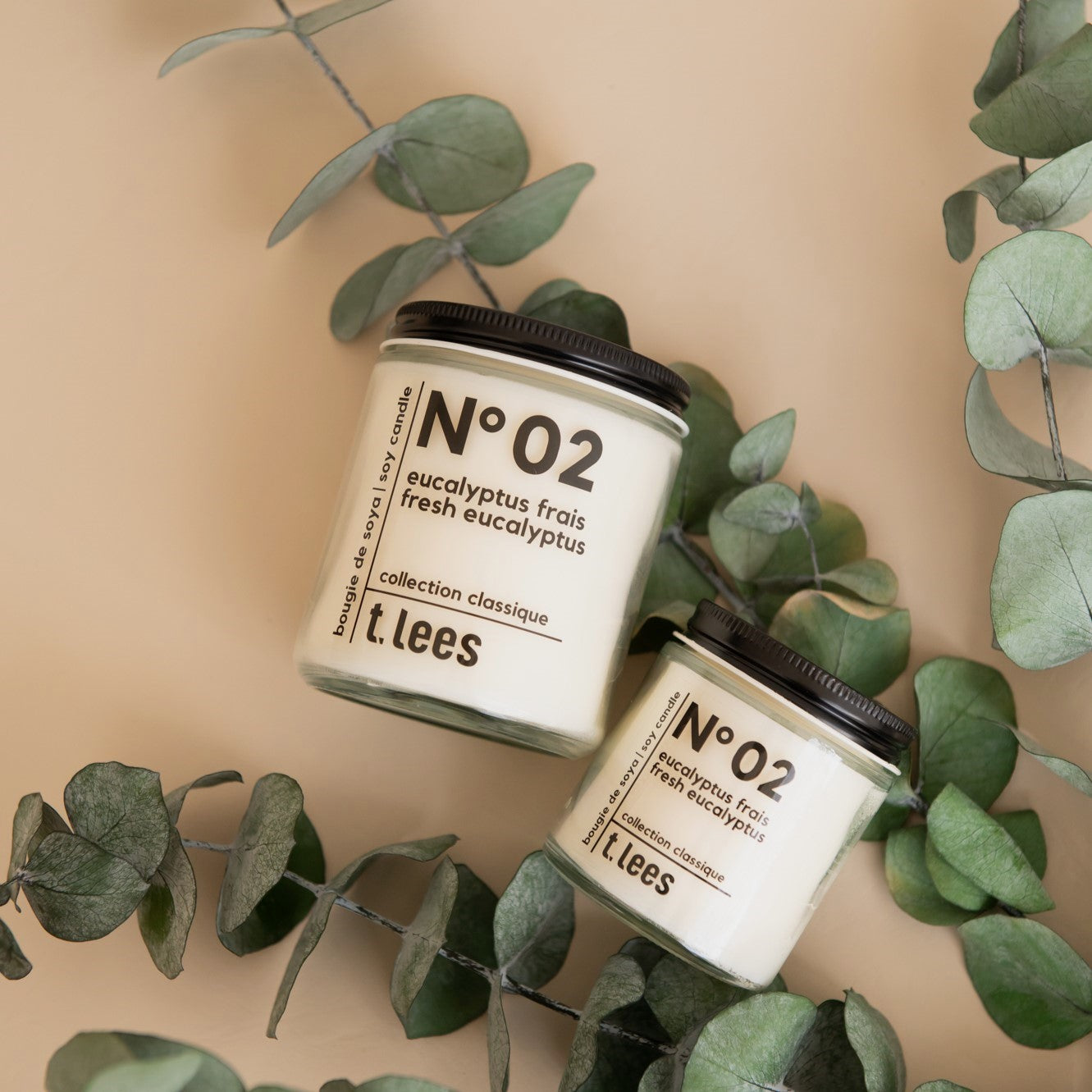 Fresh eucalyptus candle